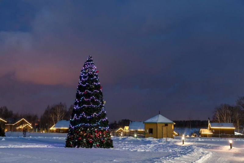 *Парк-отель "Орловский"
